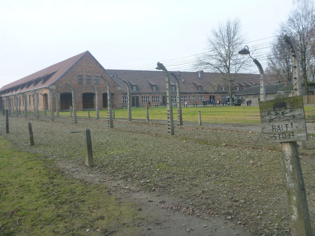 Nigdy Więcej Wojny: Touring Auschwitz German Death Camp