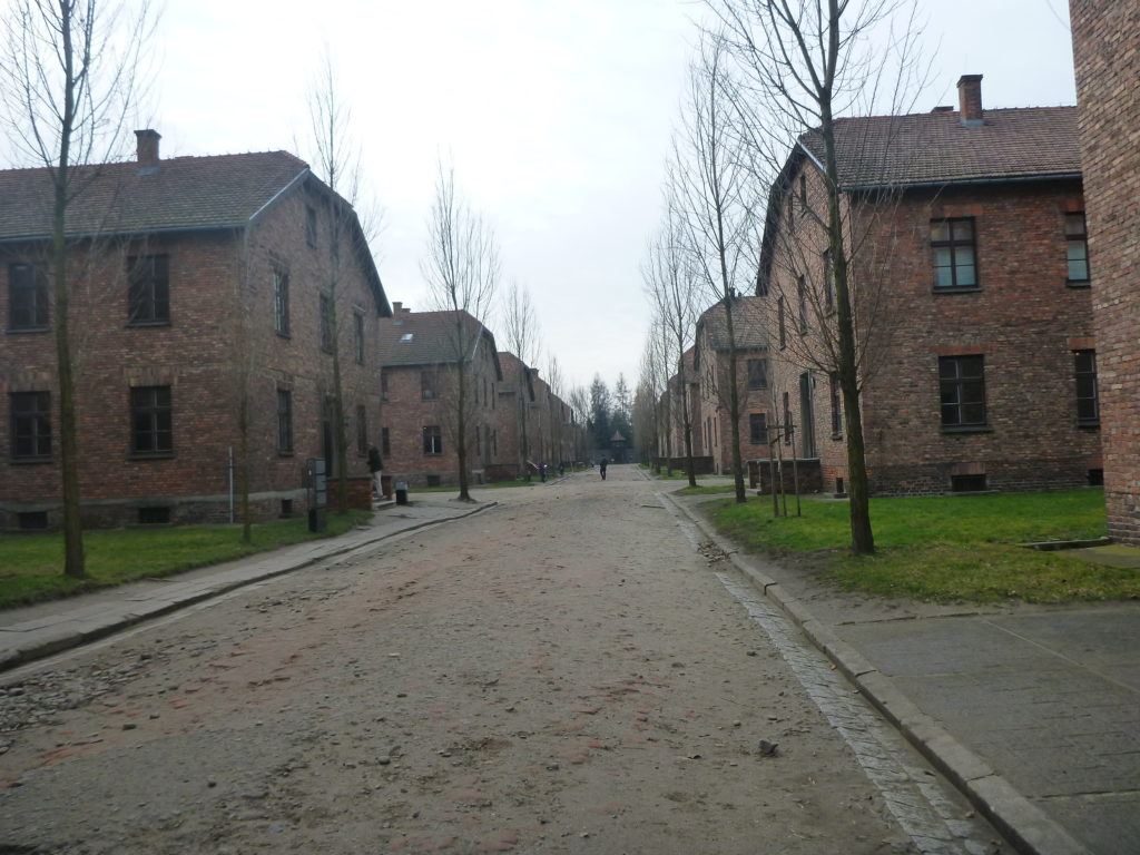 Nigdy Więcej Wojny: Touring Auschwitz German Death Camp