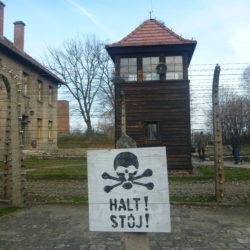 Nigdy Więcej Wojny: Touring Auschwitz German Death Camp