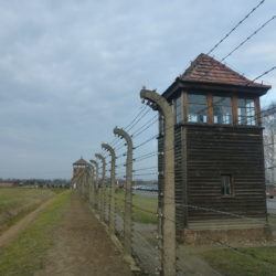 Nigdy Więcej Wojny: Touring Birkenau German Nazi Concentration Camp