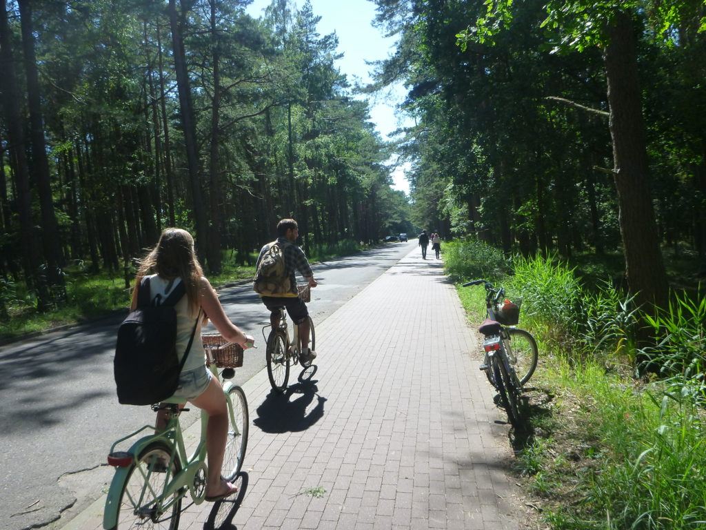 Quirky Encounters: Touring Sand Dunes and Cycling Through the Forest at Słowiński National Park