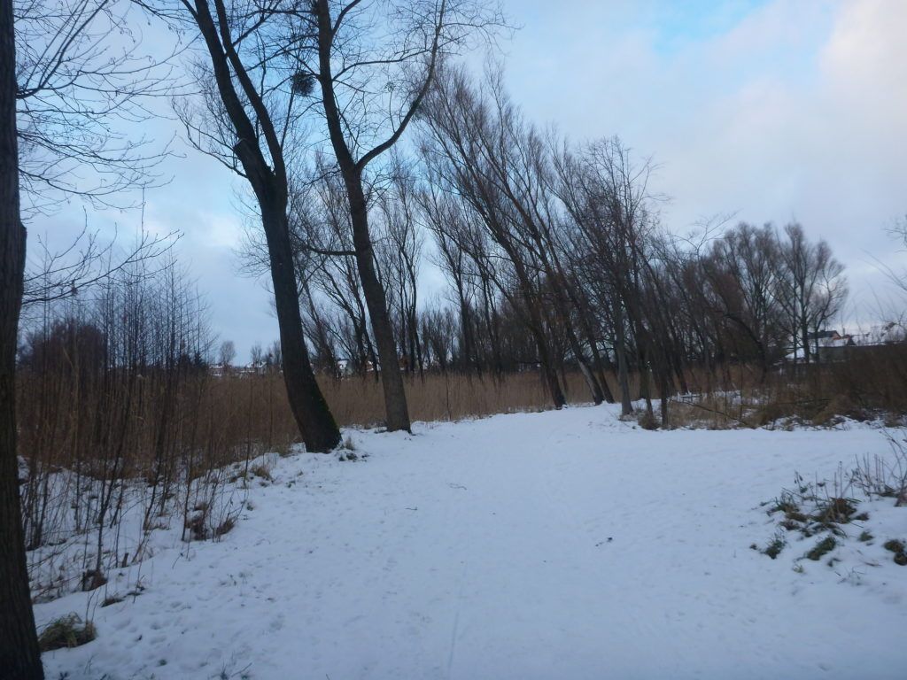 My walk to Jezioro Kraksy (Kraksy Lake)