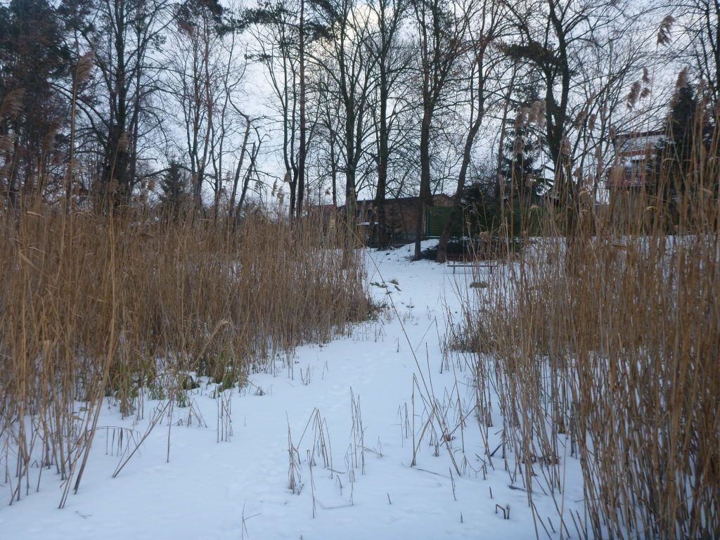 The clearing to Jezioro Kraksy (Kraksy Lake)