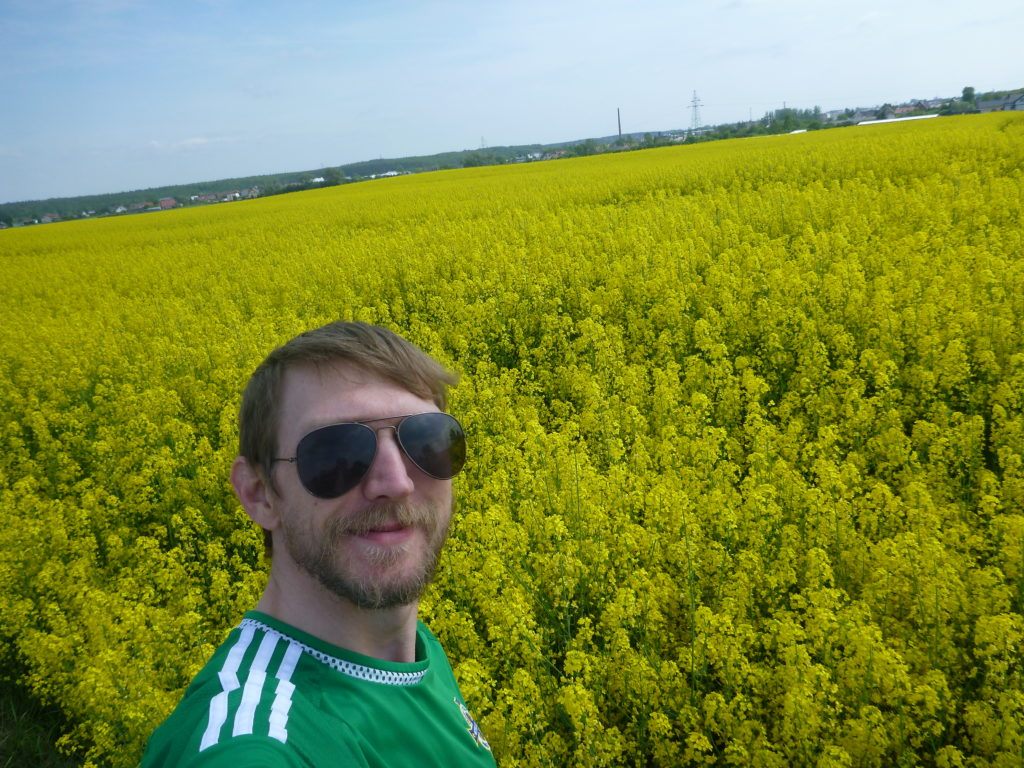Yellow Rapeseed Oil Fields of Kokoszkowy