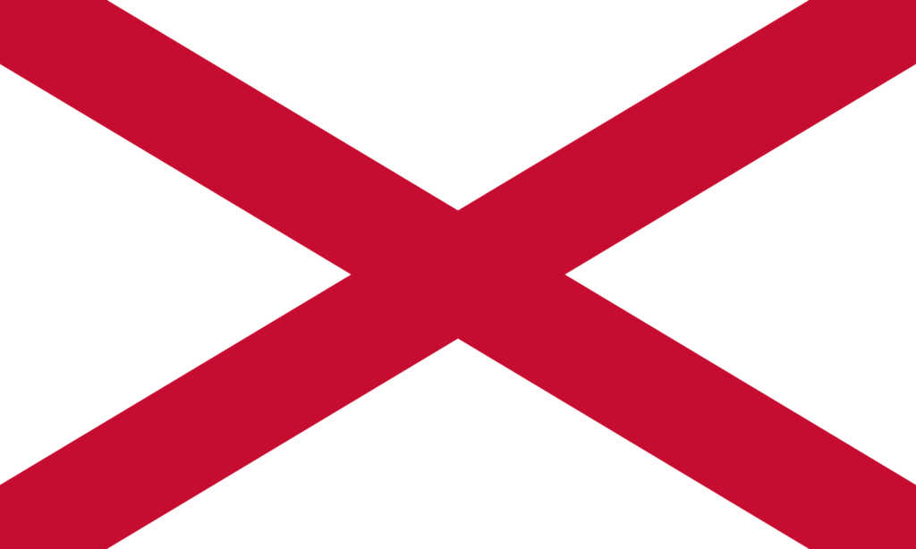 The actual Saint Patrick's Flag is a red and white saltire design, and his colour was blue.