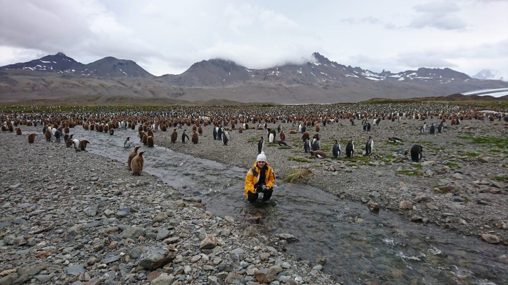 Ania in South Georgia Islands, 2017