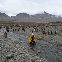 Ania in South Georgia Islands, 2017