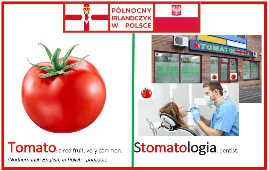 Mieszka W Polsce: Polish Words And Phrases That Confuse Me – Part 2
